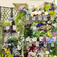 教室のご案内